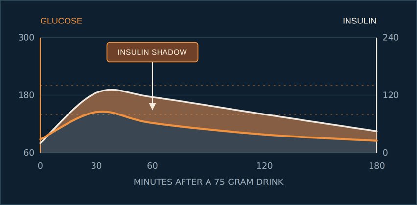 A glucose and insulin curve after a sugar drink. Glucose stays normal while insulin runs above it. The orange area between them is labeled insulin shadow.